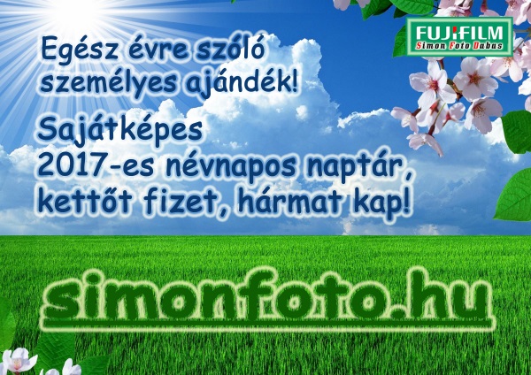 2017-es sajátképes naptár 2017-es sajátképes naptár
